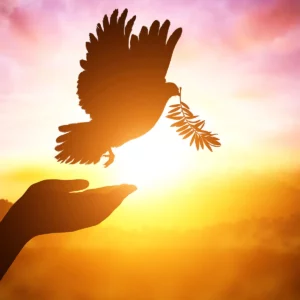 Happy International Day of Peace!